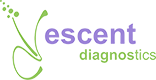 Escent Logo